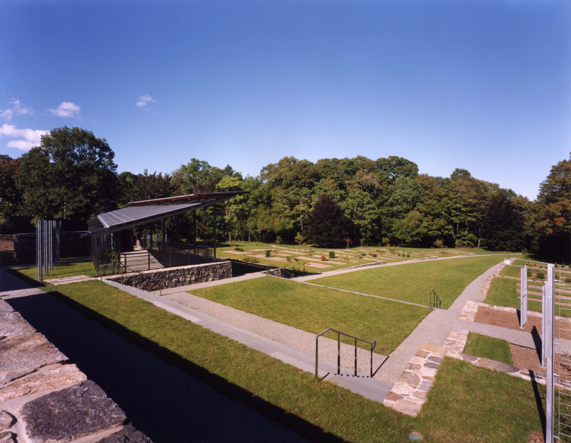 Arnold Arboretum Vine Collection Landscape Design