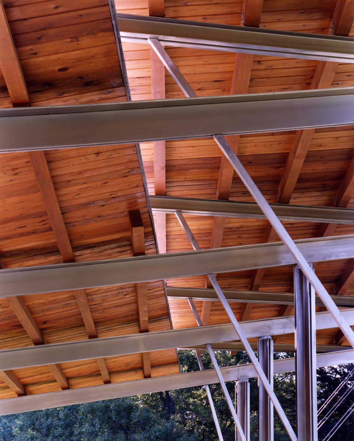 Arnold Arboretum Pavilion Roof Design Detail